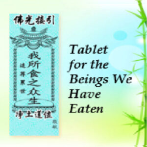 We Ete Tablet 我们所食莲位